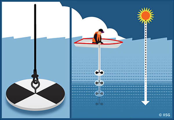 A Secchi Disk is lowered by a rope into the water.