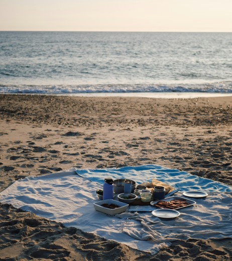 Beach Picnic at Cape May Beach