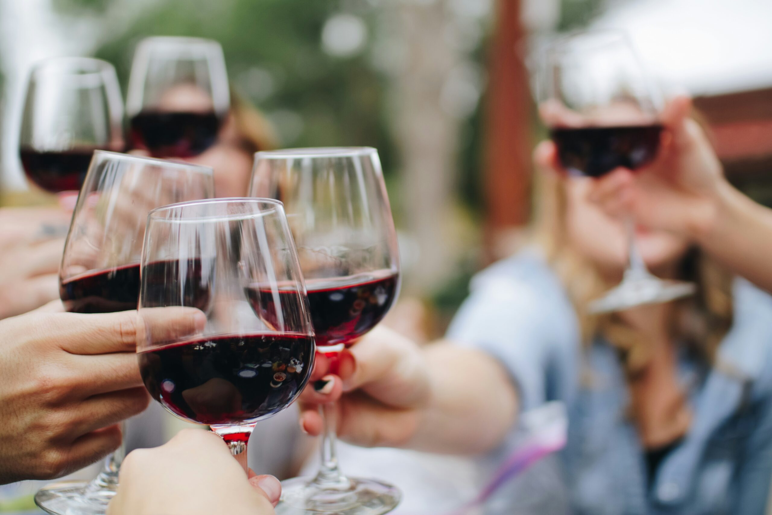 Friends toast their wine glasses and celebrate