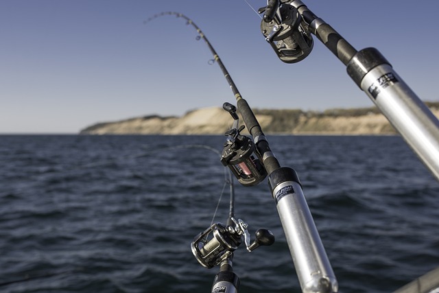 Charter fishing with three poles bent toward the water.