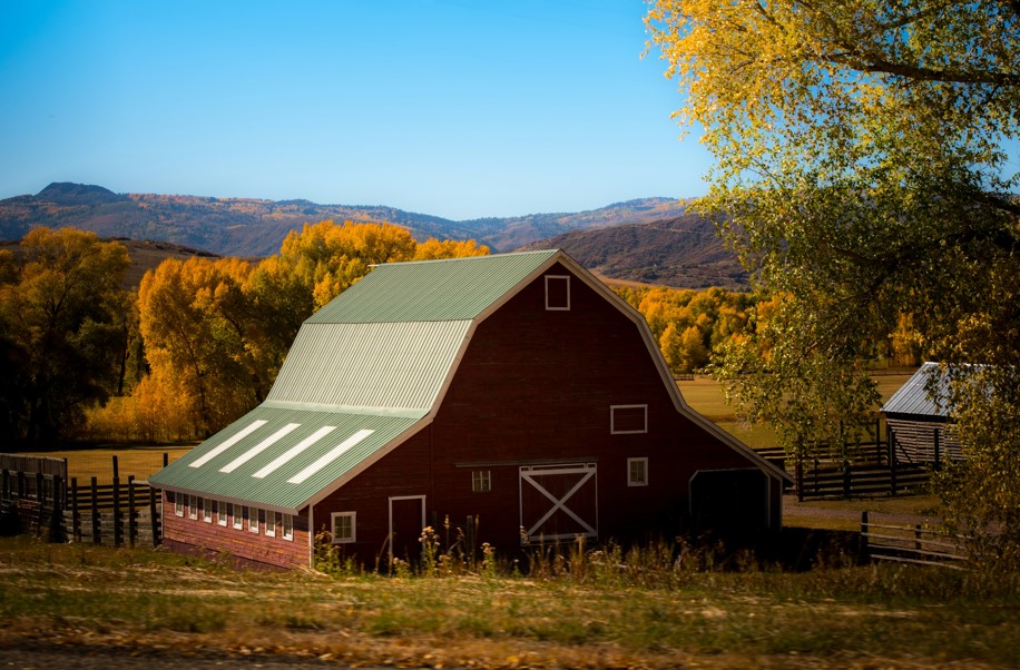 Fall foliage farms in southern nh