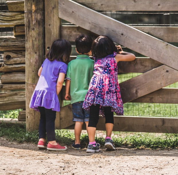 Kids peeking at farm animals at farms farms in southern nh