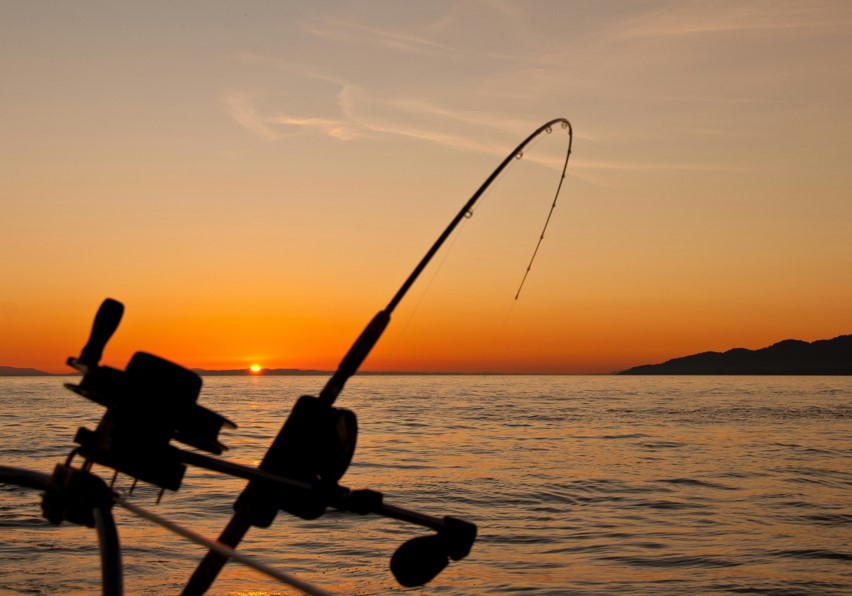 Bent fishing pole during sunset
