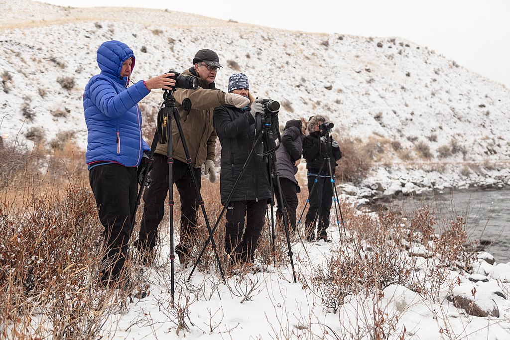 Photographers set their cameras with the help of a tour guide in Yellowstone National Park