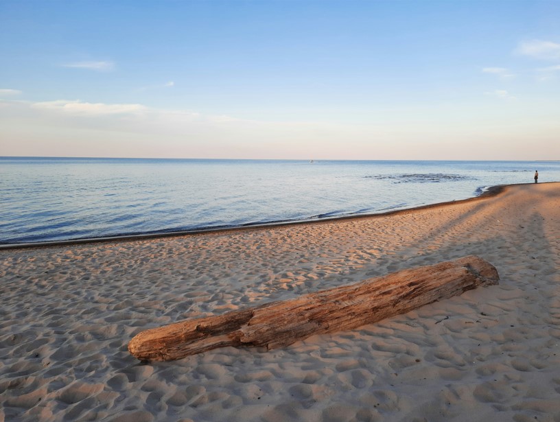 Sandy Beach on Lake Michigan with a large piece of drift wood in the sand.