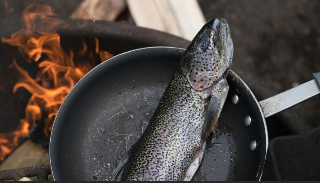 A freshly caught fish is cooking in a pan over a fire.