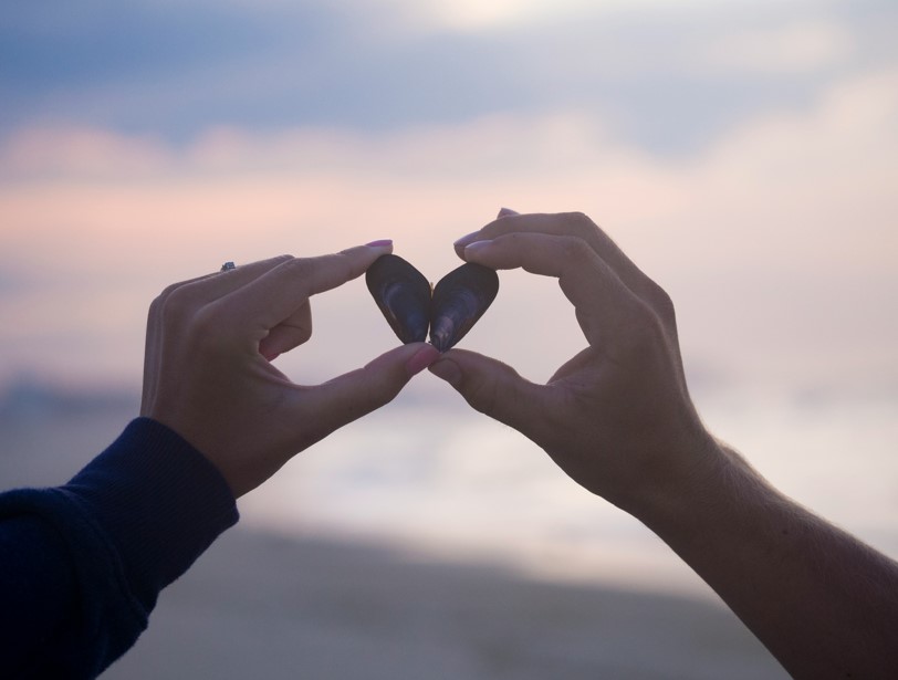 A couple holds a shell that forms a heart shape.