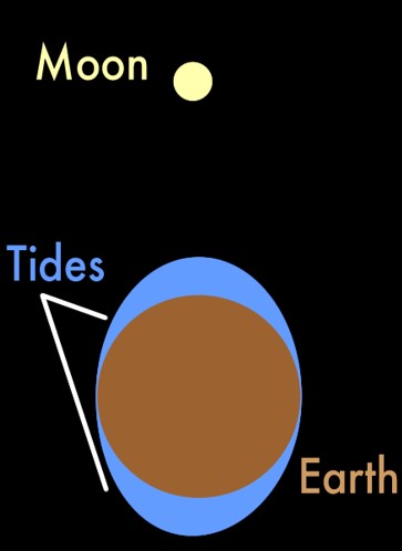 A model of the moon and earth showing how the tides work.