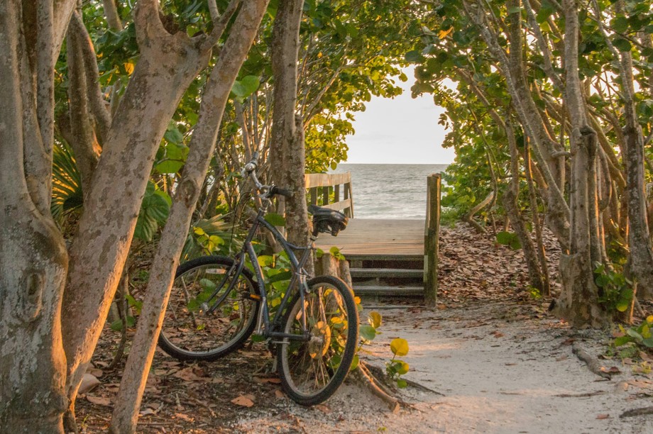 A beach bicycle rests against a tree on a beach in Sanibel Island, Florida. 