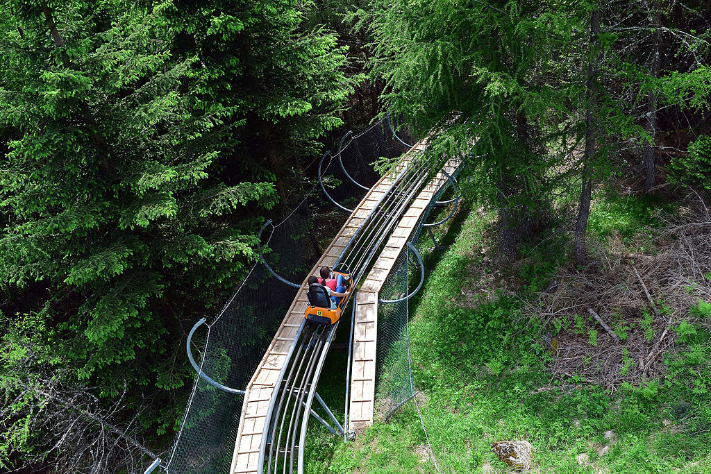 A rider on popular mountain coaster rides through the high ground surrounded by trees.