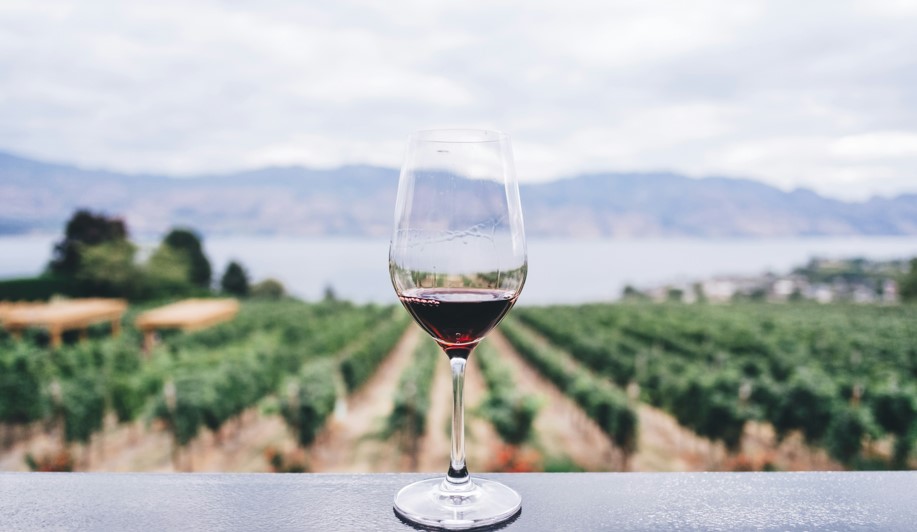 Wineries in Saratoga Springs, NY offer beautiful views of the water and the rolling hills.