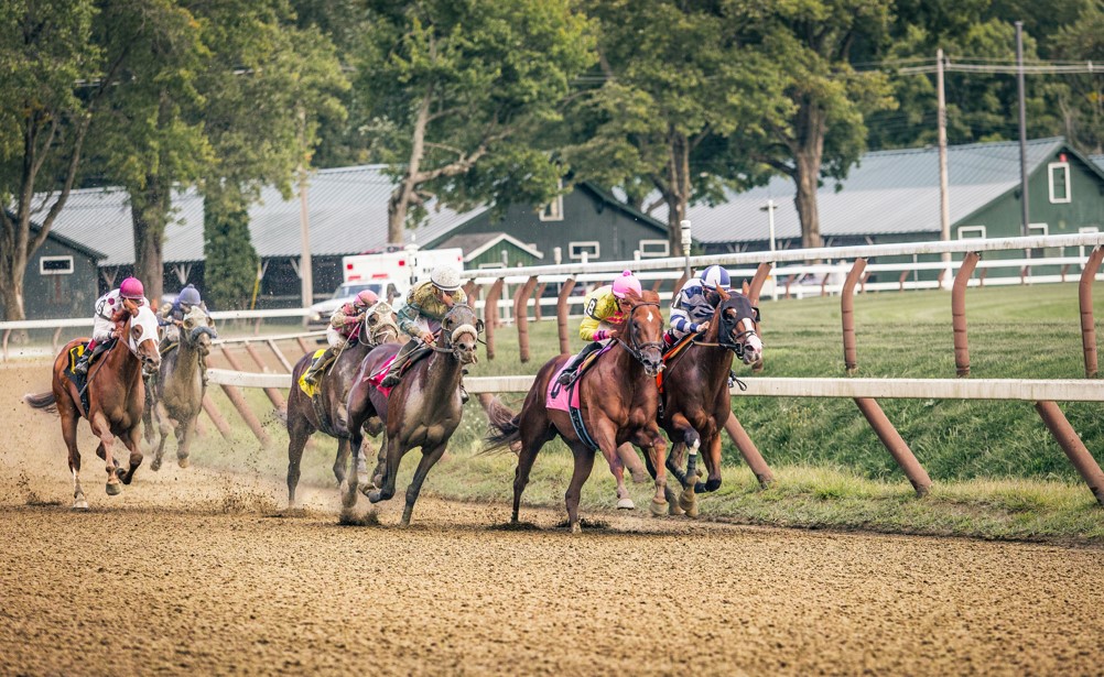 Several horse race to the finish line in a Saratoga Springs horse race.