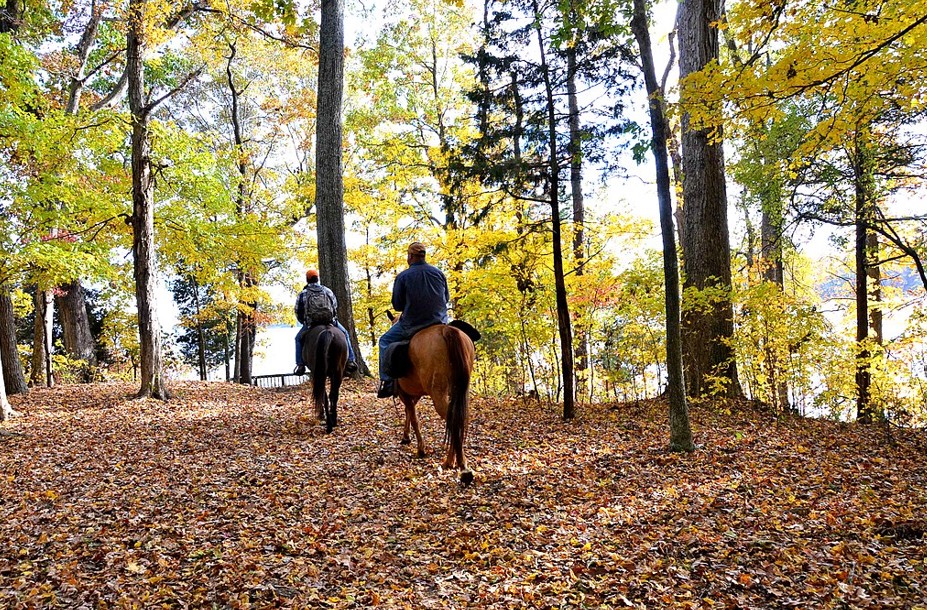 Two people enjoy horseback riding in NC mountains during the fall when leaves are changing color. 