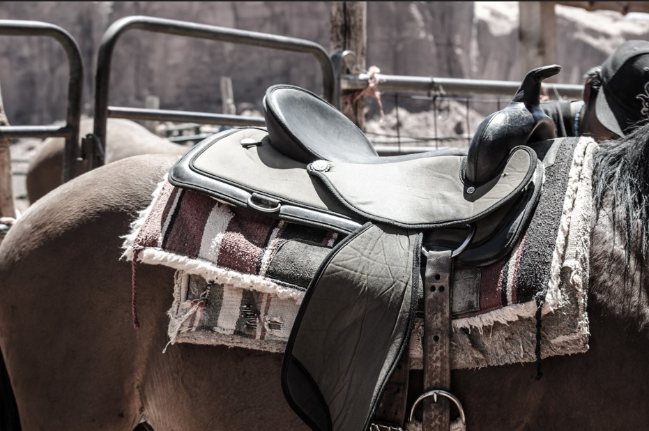 A saddled horse is waiting for its rider. 