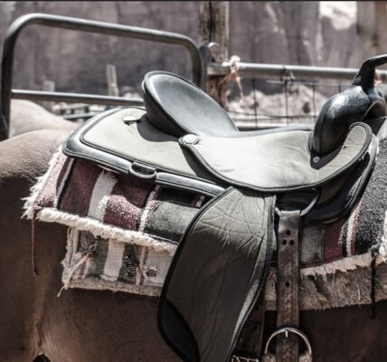 A horse waits with its saddle for a rider.