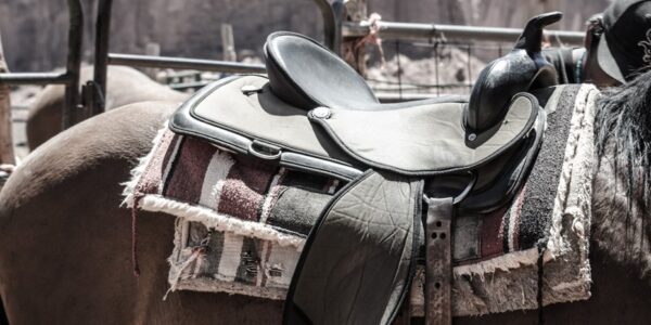 A horse waits with its saddle for a rider.