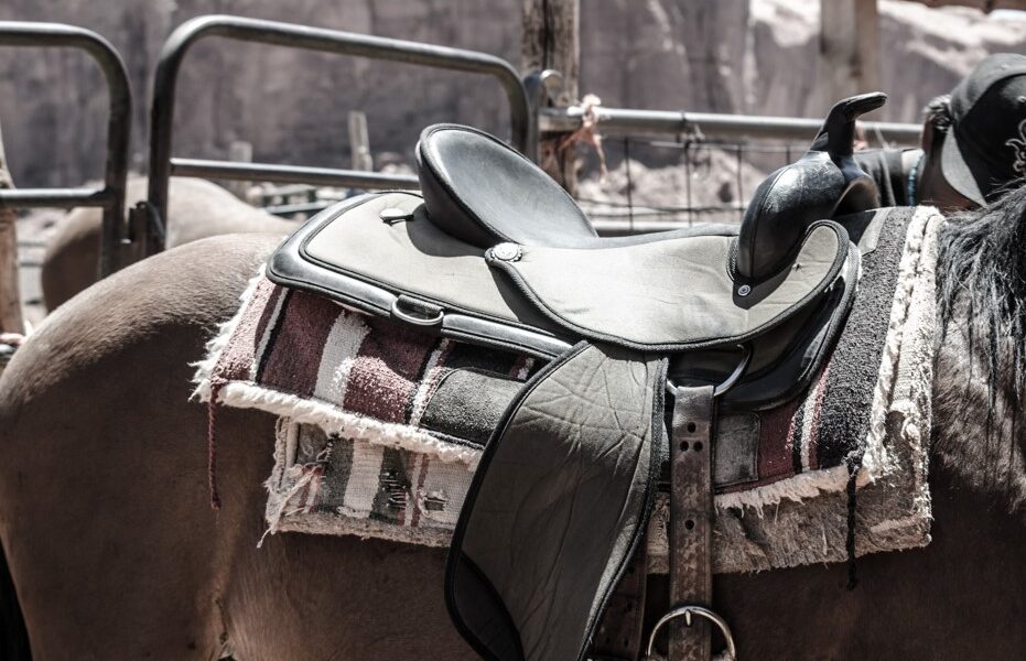A horse waits with its saddle for a rider.