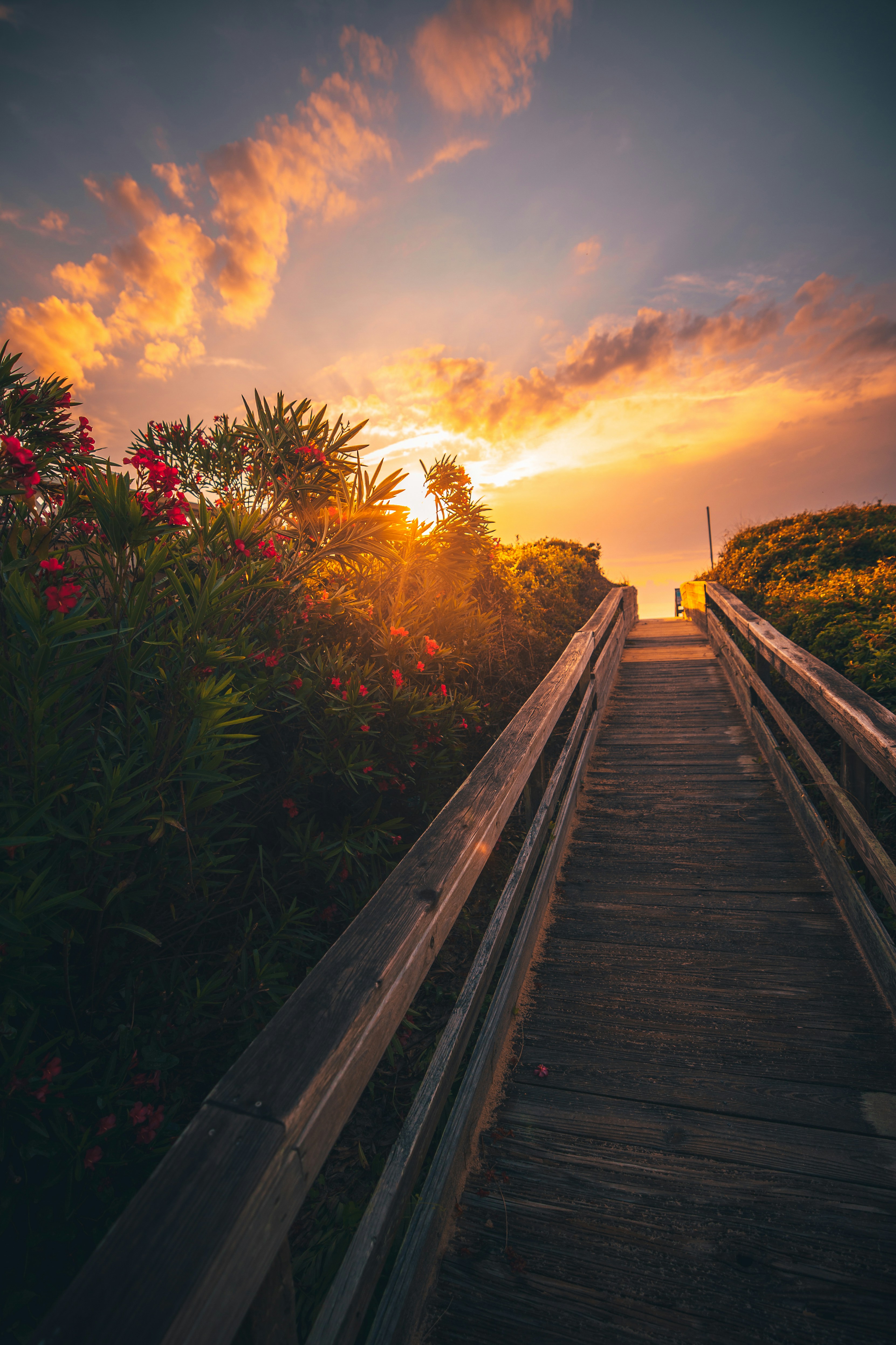 A wooden boardwalk leads to the beach in North Carolina during sunset.