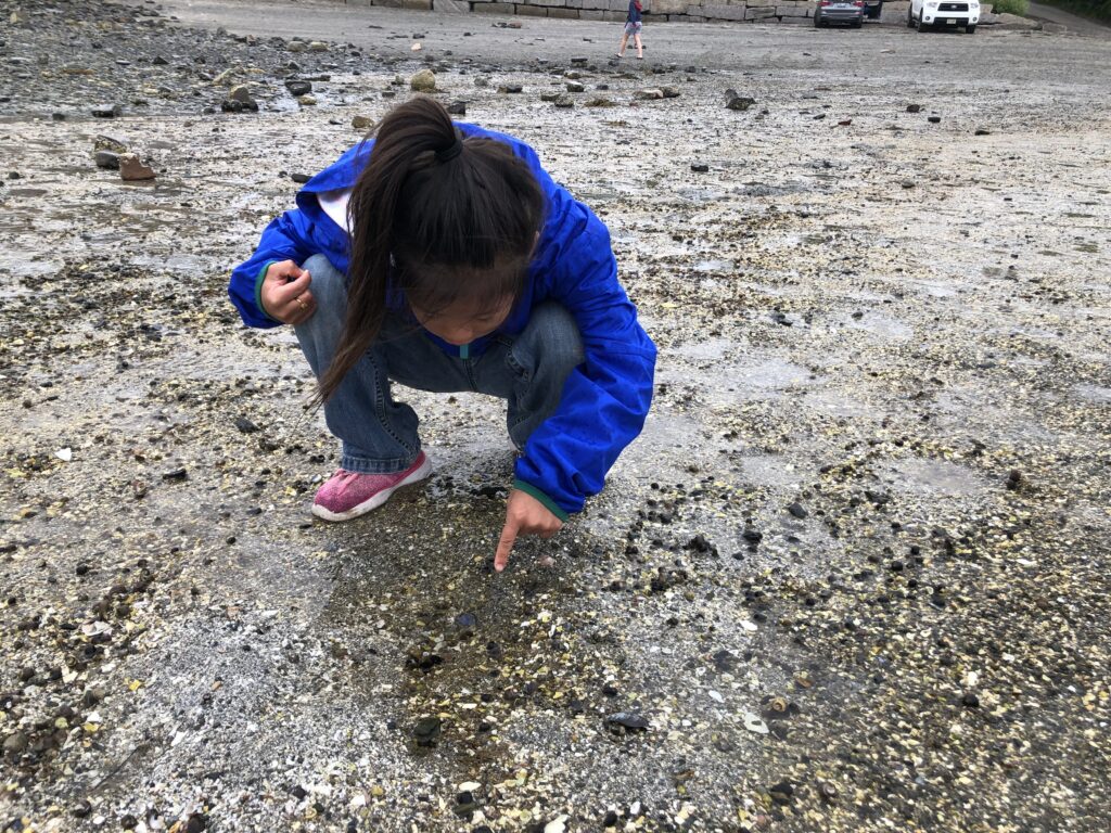 A young girls points at a crab while crouched down looking at a small pool of water.